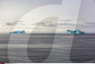 FEATURE - Eisberge in Grönland