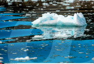 FEATURE - Eisberge in Grönland