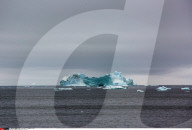 FEATURE - Eisberge in Grönland