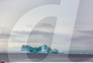 FEATURE - Eisberge in Grönland