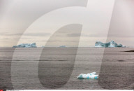FEATURE - Eisberge in Grönland