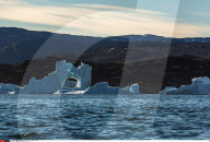 FEATURE - Eisberge in Grönland