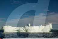 FEATURE - Eisberge in Grönland