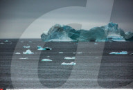FEATURE - Eisberge in Grönland