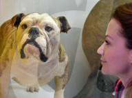 NEWS - London: 'Colour and Vision' Ausstellung im Natural History Museum