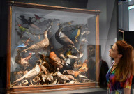 NEWS - London: 'Colour and Vision' Ausstellung im Natural History Museum