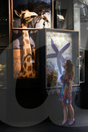 NEWS - London: 'Colour and Vision' Ausstellung im Natural History Museum