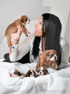 FEATURE - Ein Schnappchen: 6000 Dollar kostet dieser Englische Bulldoggen