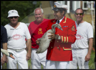 FEATURE - 'Just Splendid' - Royal Swan upping auf der Themse 