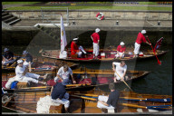 FEATURE - 'Just Splendid' - Royal Swan upping auf der Themse 
