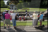 FEATURE - 'Just Splendid' - Royal Swan upping auf der Themse 