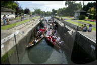 FEATURE - 'Just Splendid' - Royal Swan upping auf der Themse 