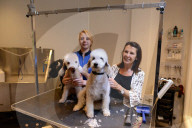 REPORTAGE - Spotlight Loughton