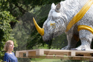 FEATURE - Es steht ein Nashorn im Park von Yorkshire