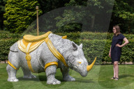 FEATURE - Es steht ein Nashorn im Park von Yorkshire