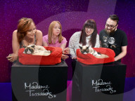 FEATURE - Grumpy Cat besucht seine Doppelgängerin im Madame Tussaud