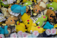 FEATURE - Pokemon Fieber