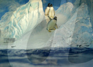 FEATURE - Pinguine tummeln sich im Polar Aquarium in Harbin