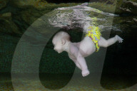 FEATURE - Ins kalte Wasser geworfen - Schwimmkurs für Babies