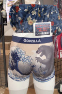 FEATURE - Godzilla Mania in Tokyo