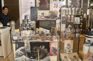 FEATURE - Godzilla Mania in Tokyo