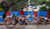 FEATURE - Indien: Pferdewagen Rennen in Allahabad