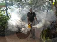 NEWS - Florida: Zika-Gefahr in Miami