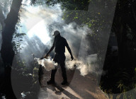 NEWS - Florida: Zika-Gefahr in Miami