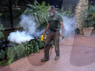 NEWS - Florida: Zika-Gefahr in Miami