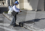 NEWS - Florida: Zika-Gefahr in Miami