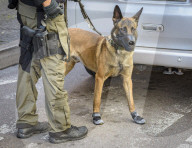 NEWS - Saarbrücken: Sondereinsatzkommando stürmt Lokal 