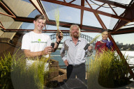 Sir Richard Branson beim Launch der Great Barrier Reef Initiative in Sydney