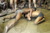FEATURE - Indien: Wrestling in Allahabad