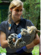 FEATURE - Kleine Leoparden im Zoo von Brüssel