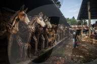 FEATURE - Kunst aus Indonesien