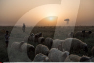 NEWS - Irak: Kämpfe um Mosul