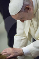 NEWS - Rom: Papst Franziskus zum Anfassen