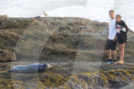 EXKLUSIV - Justin Bieber und Sofia Richie 'hängen zusammen' am Laguna Beach