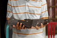 FEATURE - Rarer 'Meersau-Fisch' in Minahasa angeschwemmt