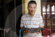 FEATURE - Rarer 'Meersau-Fisch' in Minahasa angeschwemmt