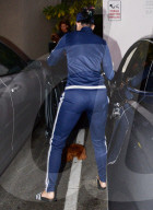 PEOPLE - Katy Perry's Hund flieht aus dem Auto