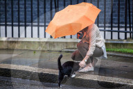 NEWS - Palmerston und Larry: Die Katzen an der Downingstreet