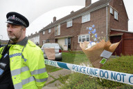 NEWS - Halstead: Dreijähriger Bub von Hund zu Tode gebissen