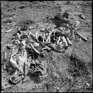 REPORTAGE - Zwei Jahre nach dem Massaker an hunderten Yeziden in Sinjar