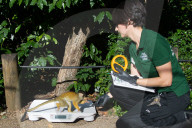 FEATURE - Jährliche Inventur im Zoo London