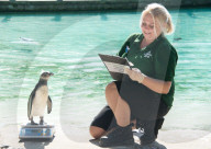 FEATURE - Jährliche Inventur im Zoo London