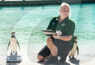 FEATURE - Jährliche Inventur im Zoo London