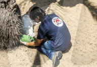 NEWS - Tierschützer retten verwahrloste Tiere aus dem Zoo in Gaza