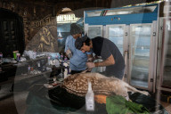 NEWS - Tierschützer retten verwahrloste Tiere aus dem Zoo in Gaza