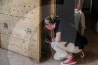 NEWS - Tierschützer retten verwahrloste Tiere aus dem Zoo in Gaza